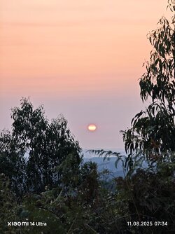 IMG_20250811_073435.jpg
