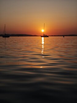 IMG_20250809_201727.jpg