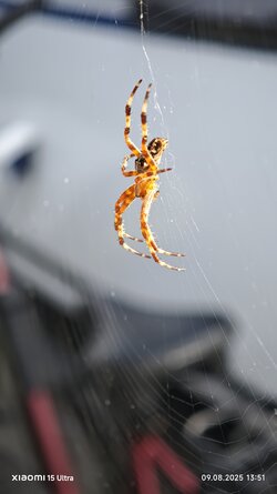IMG_20250809_135124.jpg