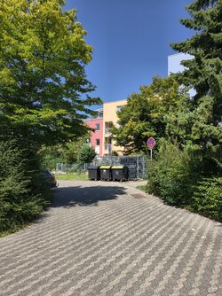IMG_20250811_130629.jpg