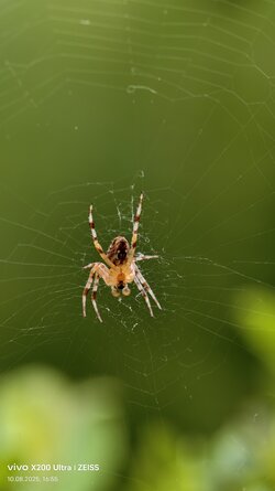 IMG_20250810_165545_020323.jpg