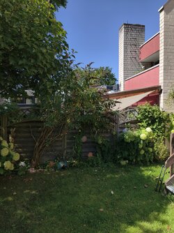 IMG_20250811_130800.jpg