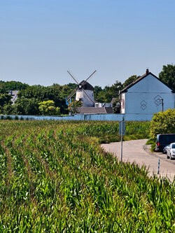 IMG_20250811_134814.jpg