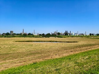 IMG_20250811_135459.jpg