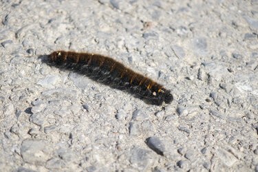 IMG_20250811_090426.jpg