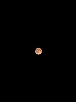 Vivo-Mond3.jpg