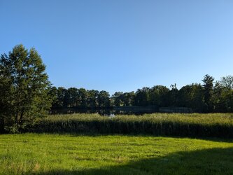 PXL_20250811_170442762.jpg