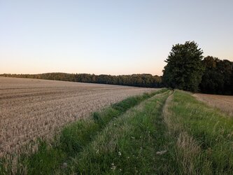 PXL_20250811_181631330.jpg