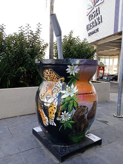 IMG_20250811_134341.jpg