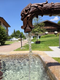 20250807_131559.jpg