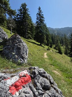 20250809_131131.jpg