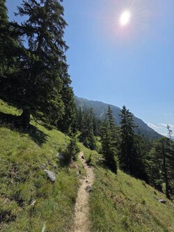 20250809_131220.jpg