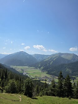20250809_130235.jpg