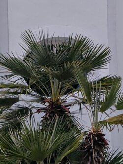 IMG20250811205343~2.jpg