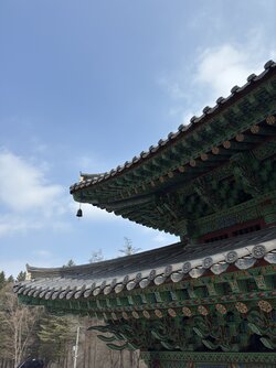 IMG_7477 2.jpeg