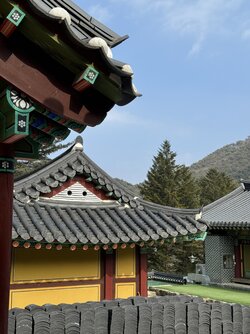 IMG_7373 2.jpeg
