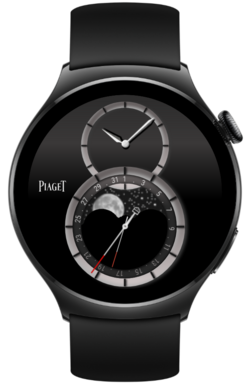 PiagetW4_snapshot.png