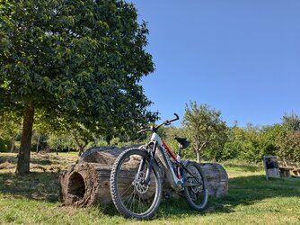 Vivo-sonne28.jpg