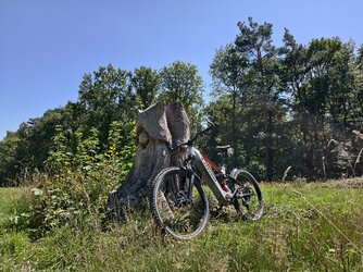 Vivo-sonne26.jpg