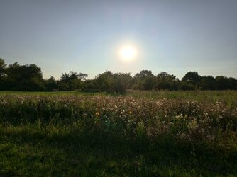 Vivo-sonne2.jpg