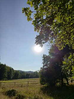 Vivo-sonne1.jpg