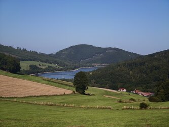 IMG_20250811_174730.jpg