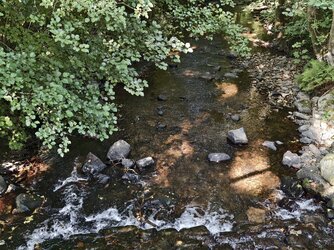 IMG_20250811_173004.jpg