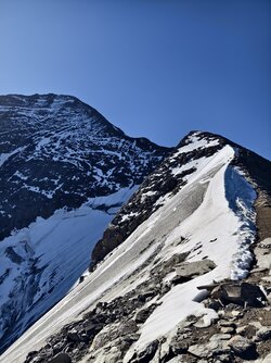 IMG_20250812_085535.jpg