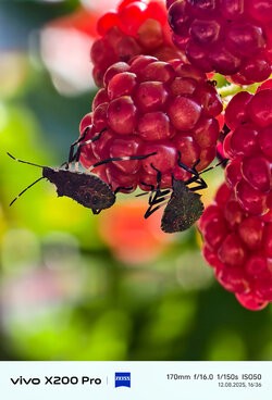 IMG_20250812_163634.jpg
