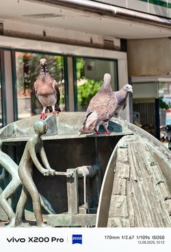 IMG_20250812_121320.jpg