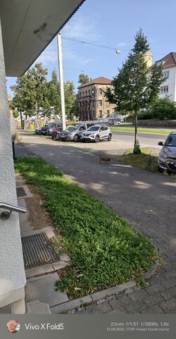 IMG_20250812_170938.jpg
