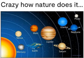 Flat Earth.png