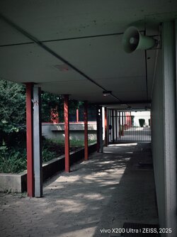 IMG_20250804_161049.jpg