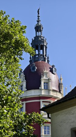 IMG_20250811_100234.jpg
