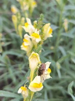 IMG_20250812_201733.jpg