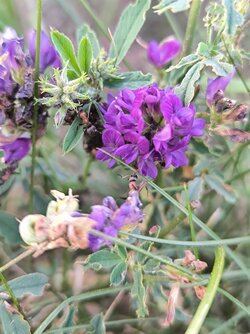 IMG_20250812_201822.jpg