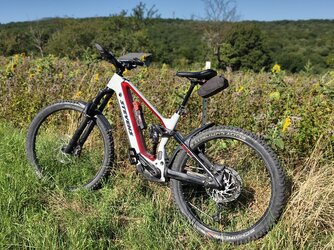 Vivo-Sonne38.jpg