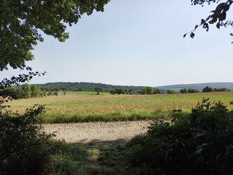 Vivo-Sonne31.jpg
