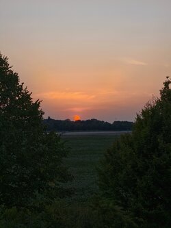 IMG_20250812_205041.jpg