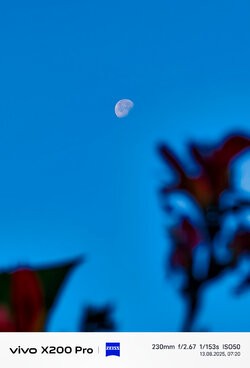 IMG_20250813_072006.jpg