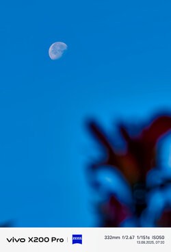 IMG_20250813_072034.jpg