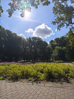 IMG_20250813_103856.jpg