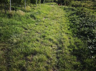 IMG_20250813_081641.jpg