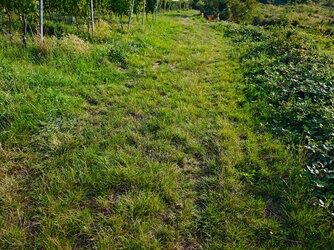 IMG_20250813_081656_Downscaled.jpg