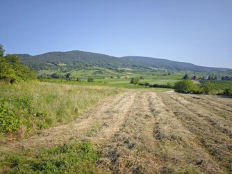 IMG_20250813_082046.jpg