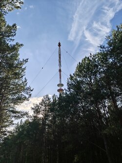 IMG_20250810_182906993.jpg