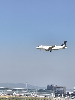 IMG_20250813_112649.jpg