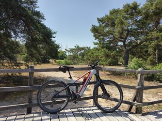 Vivo-Sonne60.jpg