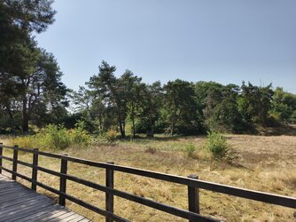 Vivo-Sonne59.jpg