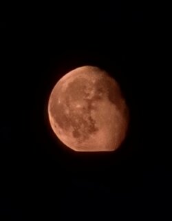 20250812_222601.jpg